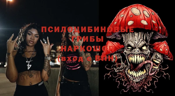 шишки Баксан